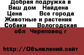 Добрая подружка,в Ваш дом!!!Найдена › Цена ­ 10 - Все города Животные и растения » Собаки   . Вологодская обл.,Череповец г.